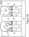 Fig. 23 - Semiconductor device and method of forming same
