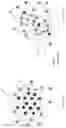 Fig. 04 - Method of examining defects in a semiconductor specimen and system thereof