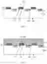 Fig. 02 - Wafer-level system-in-package packaging method and package structure thereof