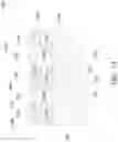 Fig. 03 - Semiconductor device including a conductive feature over an active region