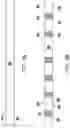 Fig. 07 - Semiconductor device and method of manufacture