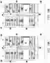 Fig. 20 - Semiconductor device and method of manufacture