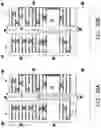 Fig. 22 - Semiconductor device and method of manufacture