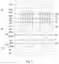 Fig. 02 - Multi-wafer stack structure and forming method thereof