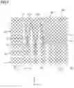Fig. 07 - Light emitting apparatus