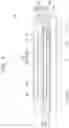 Fig. 05 - SEMICONDUCTOR PACKAGE