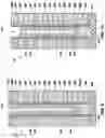 Fig. 08 - Electronic devices including vertical memory cells and related methods