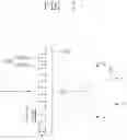 Fig. 07 - Image sensors having grating structures therein that provide enhanced diffraction of incident light
