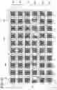 Fig. 11 - IMAGE SENSOR AND IMAGING DEVICE