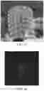 Fig. 32 - LIGHT EMITTING DEVICE