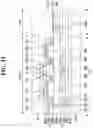 Fig. 12 - Display device and method of manufacturing the same