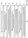 Fig. 02 - Resistive random access memory device