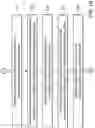 Fig. 03 - Resistive random access memory device
