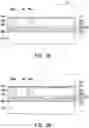 Fig. 07 - Substrate structure and manufacturing method thereof