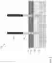 Fig. 03 - Controlling gate length of vertical transistors