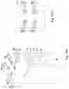 Fig. 11 - Semiconductor device and manufacturing method thereof