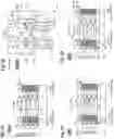 Fig. 04 - High electron mobility thin film transistors