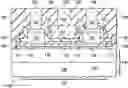 Fig. 01 - Integration of graphene and boron nitride hetero-structure device
