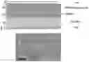 Fig. 01 - Light emitting device, an optical spectrometer, and a down-converting film for a light emitting device