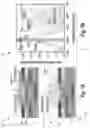 Fig. 09 - MICRO-LED APPARATUS WITH ENHANCED ILLUMINATION, AND METHOD FOR FORMING SUCH