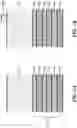 Fig. 02 - Patterning of a magnetoresistance structure including two hard masks