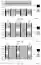 Fig. 08 - Self-aligned memory decks in cross-point memory arrays