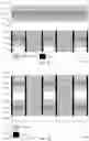 Fig. 09 - Self-aligned memory decks in cross-point memory arrays
