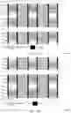 Fig. 13 - Self-aligned memory decks in cross-point memory arrays