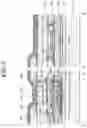Fig. 06 - Semiconductor device including semiconductor layers having different semiconductor materials