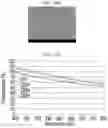 Fig. 08 - Light emitting device and transparent display device using the same