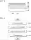 Fig. 05 - Method for manufacturing light-emitting device, and light-emitting device