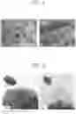Fig. 05 - METHOD FOR MANUFACTURING ADSORPTION ELECTRODE AND ADSORPTION ELECTRODE MANUFACTURED USING THE SAME