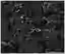 Fig. 01 - Secondary battery electrode
