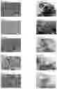 Fig. 03 - Electrically conductive porous particle