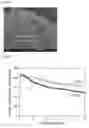 Fig. 05 - Electrically conductive porous particle
