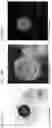 Fig. 06 - Electrically conductive porous particle