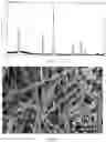 Fig. 03 - Linear porous lithium titanate material, preparation and product thereof