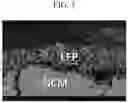 Fig. 04 - Positive electrode for lithium secondary battery and lithium secondary battery comprising same