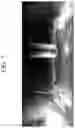 Fig. 08 - Positive electrode for lithium secondary battery and lithium secondary battery comprising same