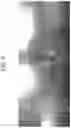 Fig. 10 - Positive electrode for lithium secondary battery and lithium secondary battery comprising same