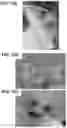 Fig. 09 - Solid-State Li-S Batteries and Methods of Making Same