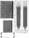 Fig. 18 - Solid-State Li-S Batteries and Methods of Making Same