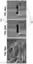 Fig. 22 - Solid-State Li-S Batteries and Methods of Making Same