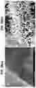 Fig. 30 - Solid-State Li-S Batteries and Methods of Making Same