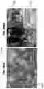 Fig. 32 - Solid-State Li-S Batteries and Methods of Making Same