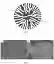 Fig. 02 - Anode for a solid oxide fuel cell and composition and method for forming same