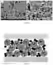 Fig. 06 - Anode for a solid oxide fuel cell and composition and method for forming same