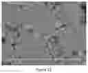 Fig. 07 - Anode for a solid oxide fuel cell and composition and method for forming same