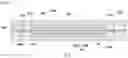 Fig. 03 - Membrane electrode assembly