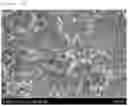 Fig. 09 - Lithium secondary battery